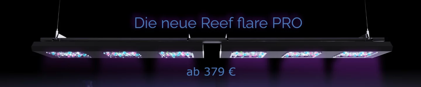 Reef Flare Pro Banner