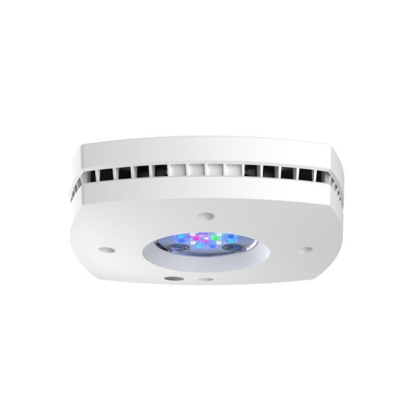 AI Prime 16HD Reef