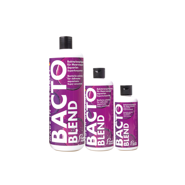 Bacto Blend - Riff Bakterien 1000 ml