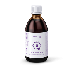 Borium&nbsp; Lab 1L