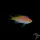 Fahnenbarsch Pseudanthias bartlettorum - Bartletts Fahnenbarsch (med)