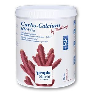 TM Carbo-Calcium Pulver 700 g