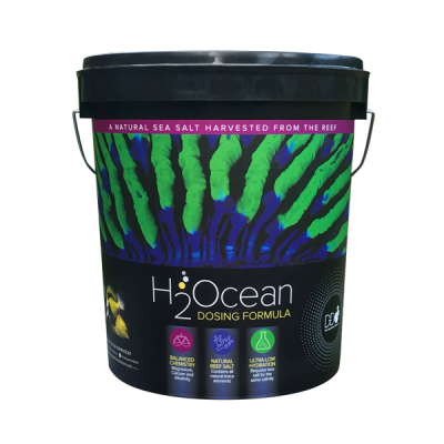 H2Ocean Dosing Formular Salz 23kg