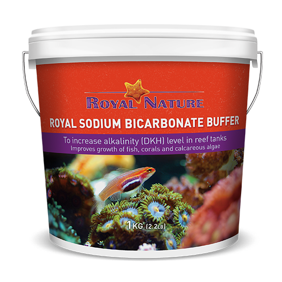 Royal Sodium Bicarbonate Buffer 1 kg.