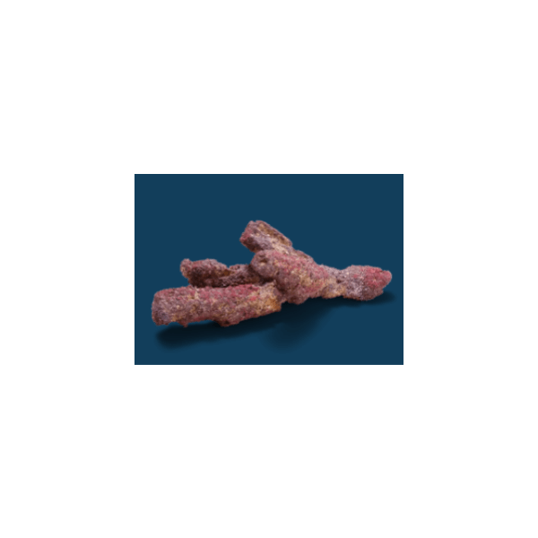 Caribsea Life Rock Belize Branch – 20 Lbs, Natural Aquarium Reef Rock