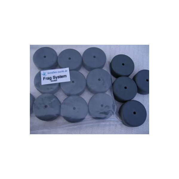 Frag System Sockel/base 10 St./pcs