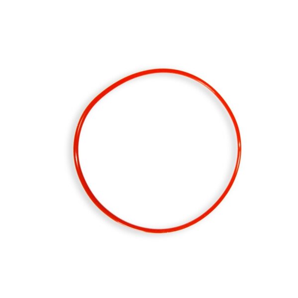 Dichtungsring 80x2,5mm für Mini Cone 180 Konus