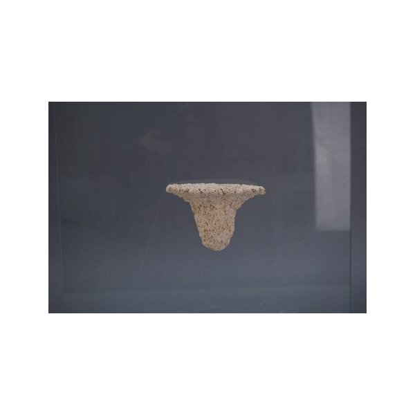 AP-AquaKeramik Magnetic-Shelf M