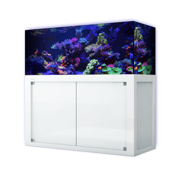 Giesemann LINEA 160 Meerwasseraquarium