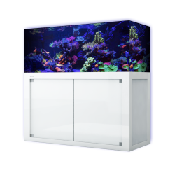 Giesemann LINEA 160 Meerwasseraquarium