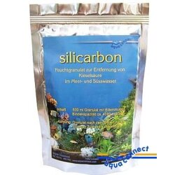 Silicarbon