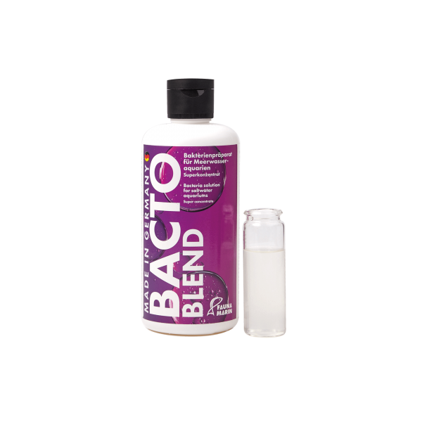 Bacto Blend - Riff Bakterien