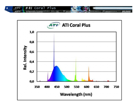 ATI- Coral Plus 24 Watt